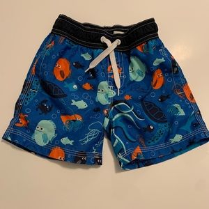 3 boys bathing suits